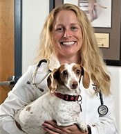 Willowbrook Veterinary Clinic - Dr. Candice Corrigan