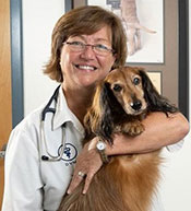 Willowbrook Veterinary Clinic - Dr. Terri Sympson
