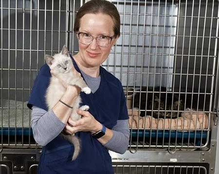 Willowbrook Veterinary Clinic - Feline Boarding