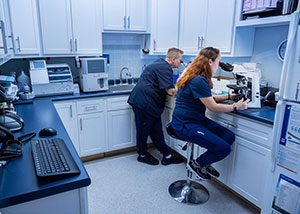 Willowbrook Veterinary Clinic - In-House Lab
