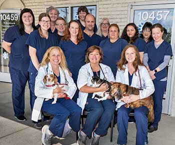 Willowbrook Veterinary Clinic - Creve Coeur, MO